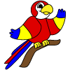How to draw a cartoon Parrot