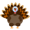 How to draw a Turkey