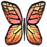 ButterflyKidswatercolor