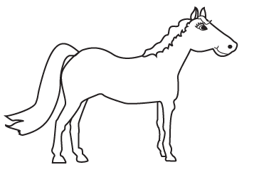web E wanda.tv - How to Draw a Pony or Horse